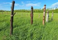 Karosi Honfoglalás kori temető & nemzeti sírkert Karos