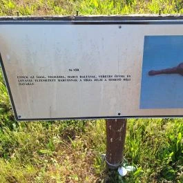 Karosi Honfoglalás kori temető & nemzeti sírkert Karos - Egyéb