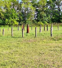 Karosi Honfoglalás kori temető & nemzeti sírkert