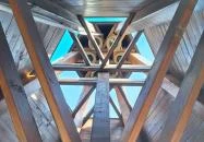 Kastélykerti harangláb Balmazújváros