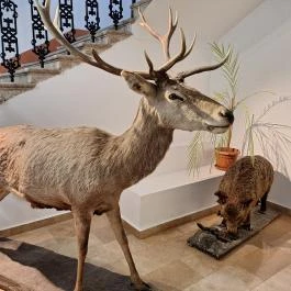 Kazinczy Ferenc Múzeum Sátoraljaújhely - Egyéb