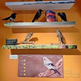 Kazinczy Ferenc Múzeum Sátoraljaújhely - Egyéb