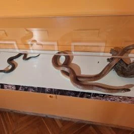 Kazinczy Ferenc Múzeum Sátoraljaújhely - Egyéb