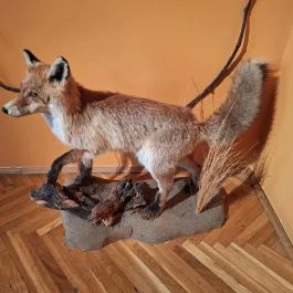 Kazinczy Ferenc Múzeum Sátoraljaújhely - Egyéb