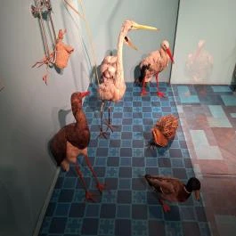 Kazinczy Ferenc Múzeum Sátoraljaújhely - Egyéb