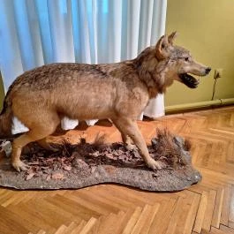 Kazinczy Ferenc Múzeum Sátoraljaújhely - Egyéb