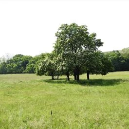 Kégl-kastély, Székesfehérvár - Külső kép