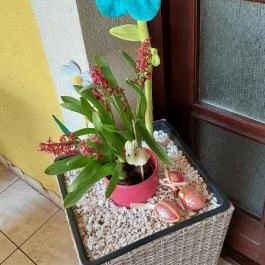 Kék Duna étterem Lipót - Egyéb