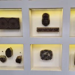 Kékfestő Múzeum, Pápa - Egyéb