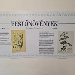 Kékfestő Múzeum, Pápa - Egyéb