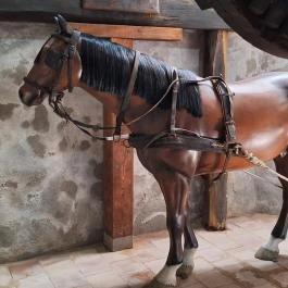 Kékfestő Múzeum, Pápa - Egyéb