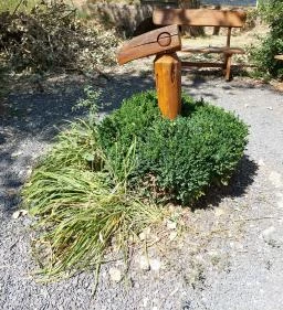 Kékkúti Theodora-forrás