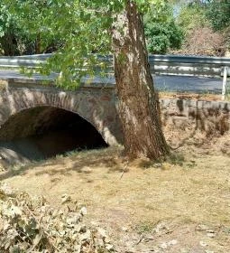 Kékkúti Theodora-forrás