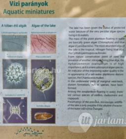 Kékmoszat tanösvény