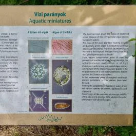 Kékmoszat tanösvény Dunapataj - Egyéb