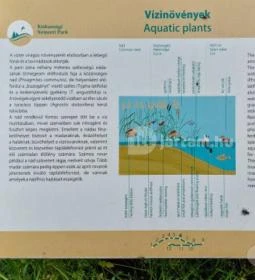 Kékmoszat tanösvény