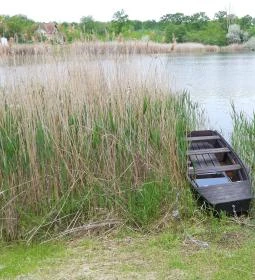 Kékmoszat tanösvény