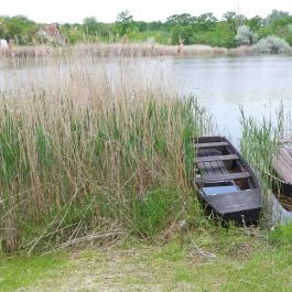 Kékmoszat tanösvény Dunapataj - Külső kép