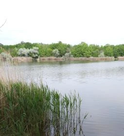 Kékmoszat tanösvény