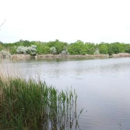 Kékmoszat tanösvény Dunapataj - Külső kép