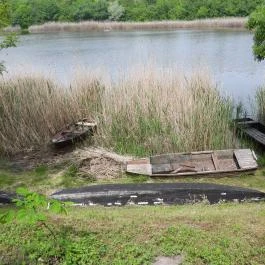 Kékmoszat tanösvény Dunapataj - Egyéb