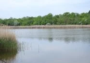 Kékmoszat tanösvény Dunapataj