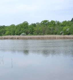 Kékmoszat tanösvény