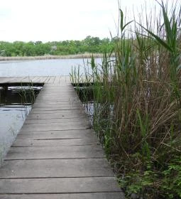 Kékmoszat tanösvény