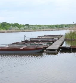 Kékmoszat tanösvény