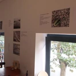 Kelet Kávézó & Galéria, Budapest - Belső