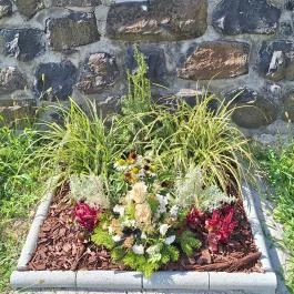 Kemence kápolna, Sénye - Egyéb