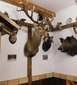 Kemencés Fogadó Étterme