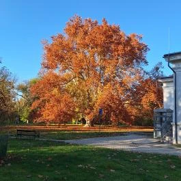 Kende-kúria Cégénydányád - Külső kép
