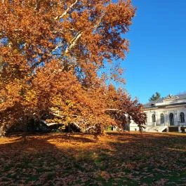 Kende-kúria Cégénydányád - Külső kép