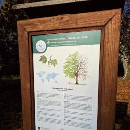 Kende-kúria Cégénydányád - Egyéb