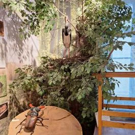 Kende-kúria Cégénydányád - Belső