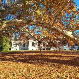 Kende-kúria Cégénydányád - Külső kép
