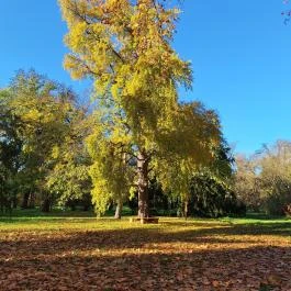 Kende-kúria Cégénydányád - Külső kép