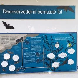 Kende-kúria Cégénydányád - Egyéb