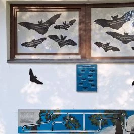 Kende-kúria Cégénydányád - Egyéb