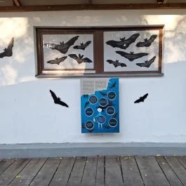 Kende-kúria Cégénydányád - Egyéb