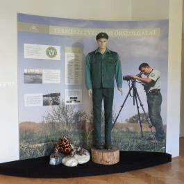 Kende-kúria Cégénydányád - Egyéb