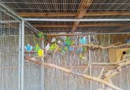 Kenguru Park Tiszaderzs