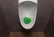 Kentucky Fried Chicken Solymár