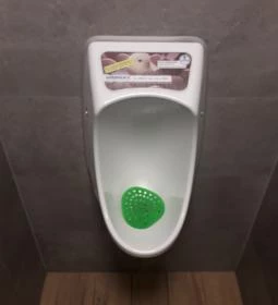 Kentucky Fried Chicken