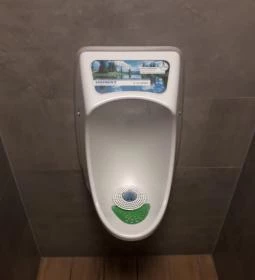 Kentucky Fried Chicken