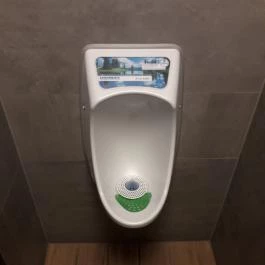 Kentucky Fried Chicken, Solymár - Mosdó