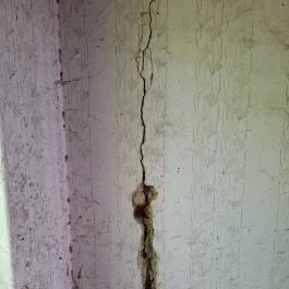 Keppich-kúria, Örményes - Egyéb