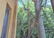 Keppich-kúria Örményes