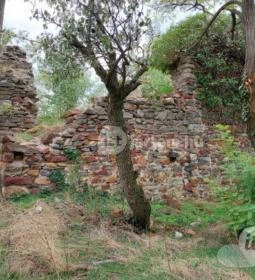 Kerekikáli templomrom